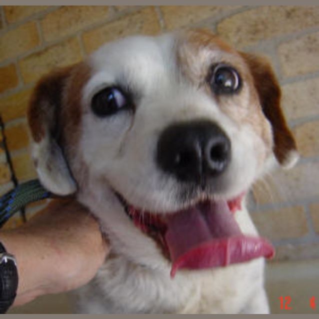Photo of Lucky Amos