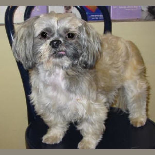 Photo of Heidi