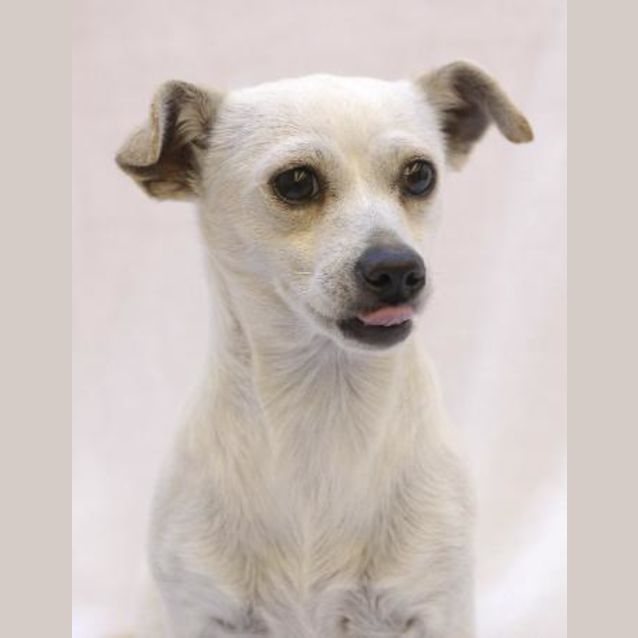 Photo of Ivory The Little Bundle Of Joy!