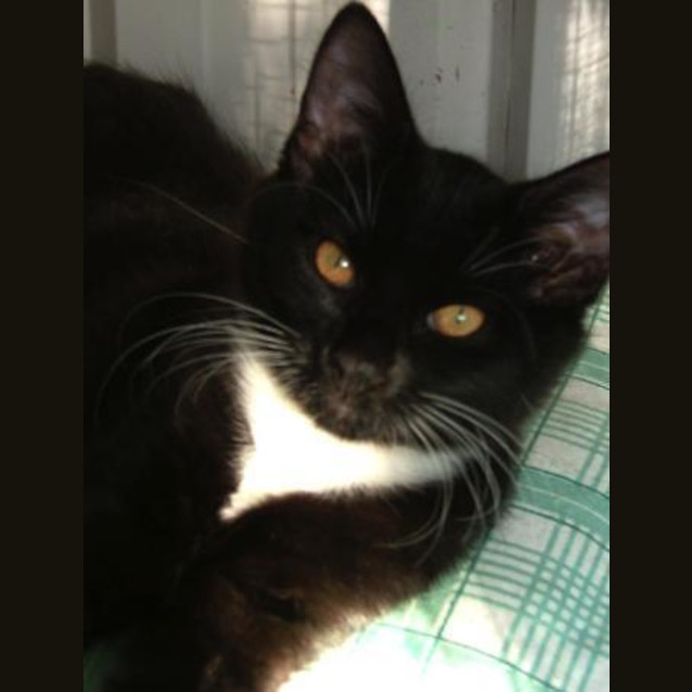 Photo of Rosie