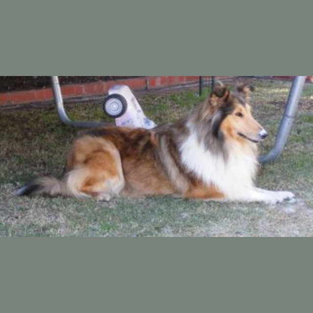 Photo of Kay   Adopted