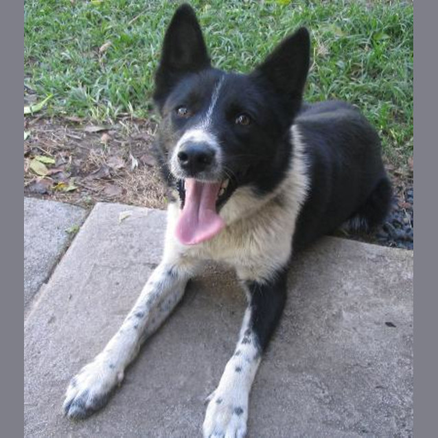 Photo of Tess