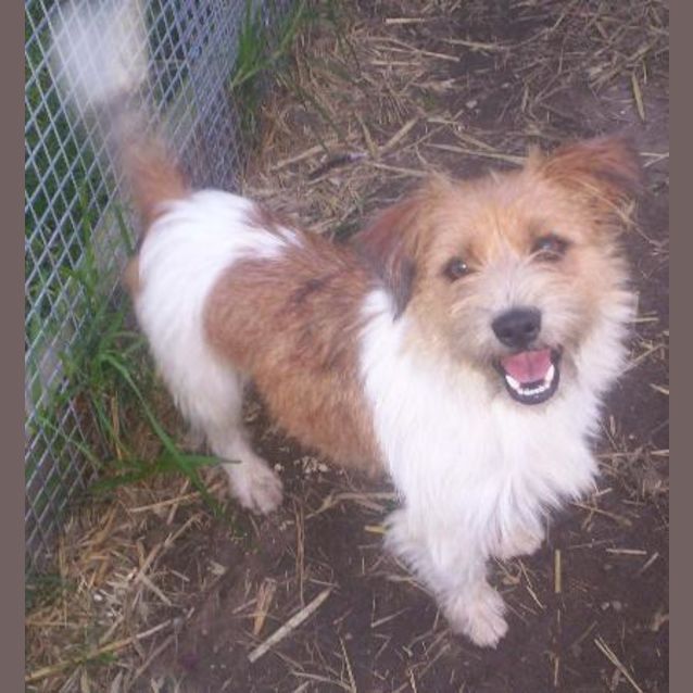 Photo of Benny