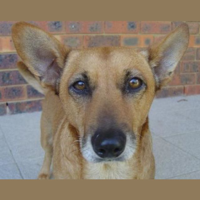 Photo of Humphrey Is Trying A New Home!!