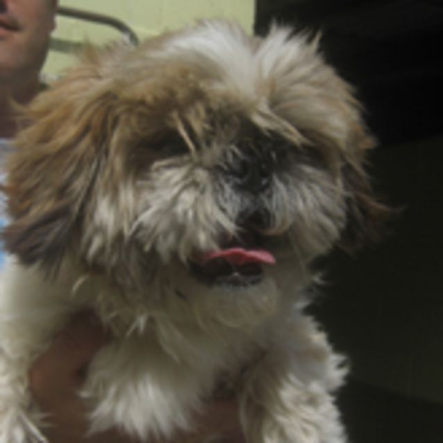 Photo of Murphy