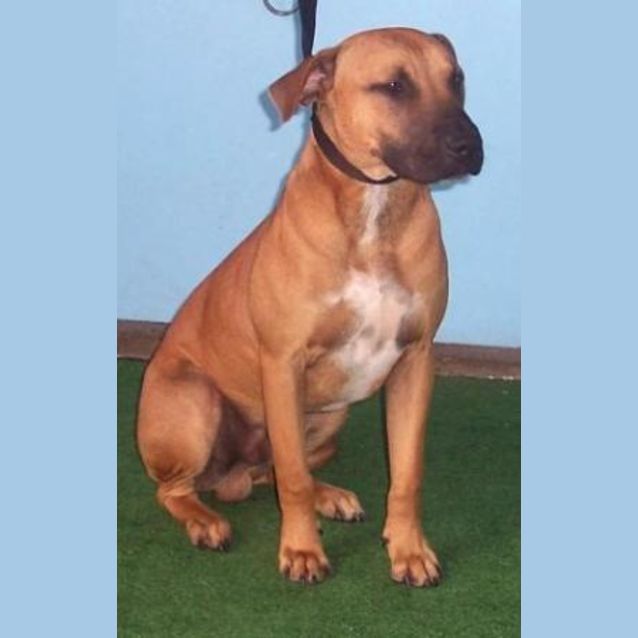 Photo of Maximus