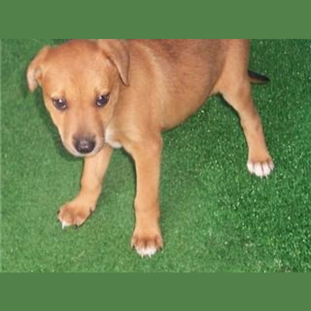Photo of Lyric