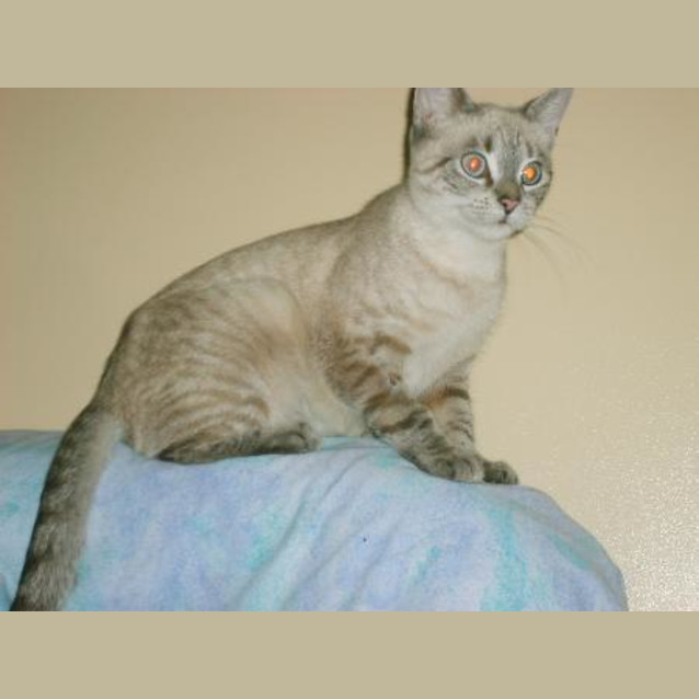 Photo of Susie
