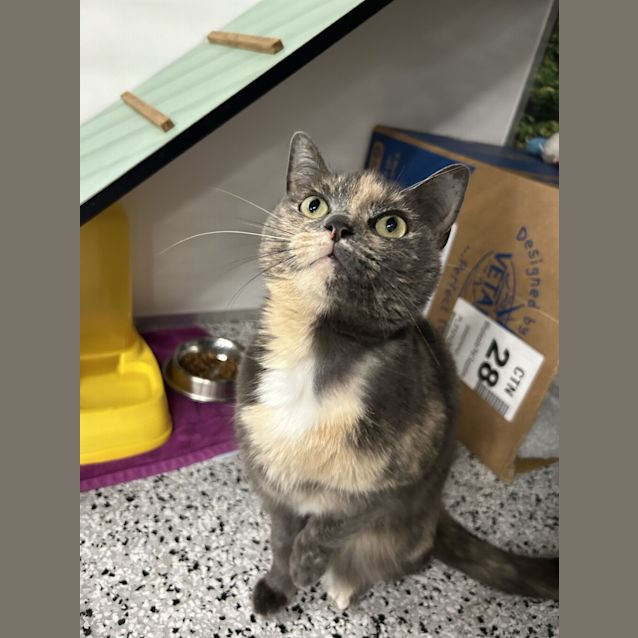 Photo of Milly
