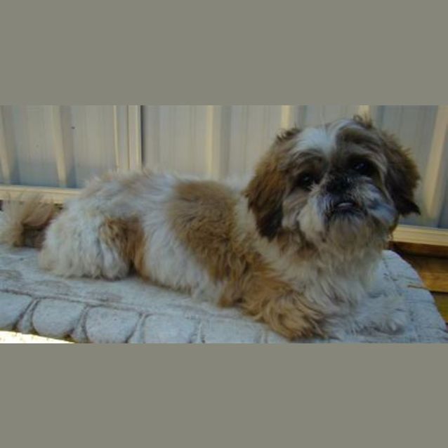 Photo of Murphy