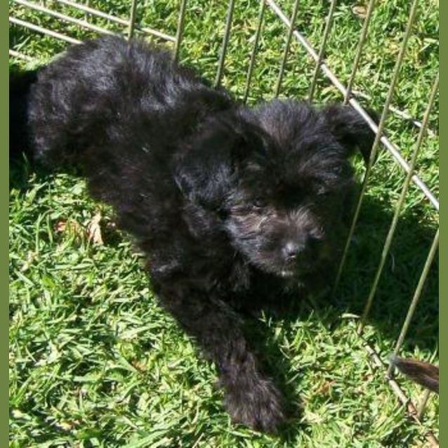 Photo of Edna Adopted