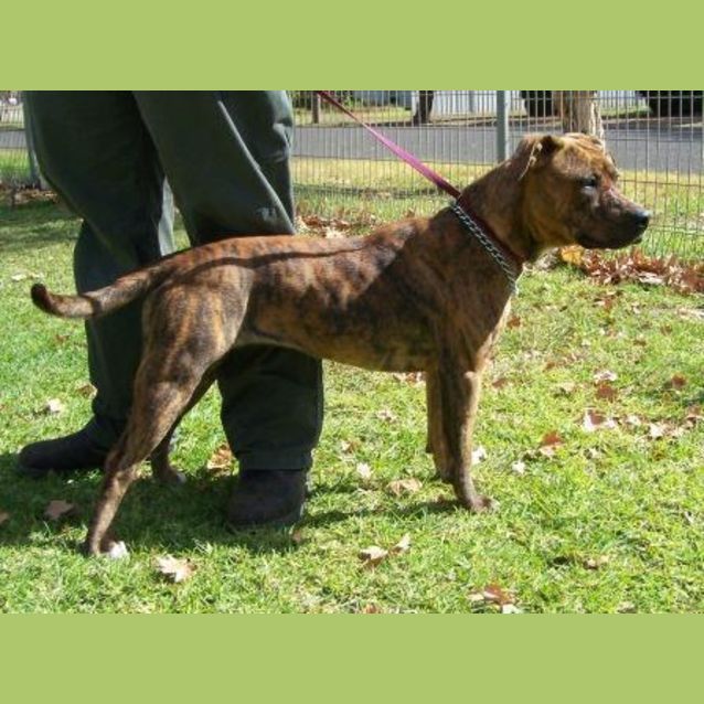 Photo of Shelly