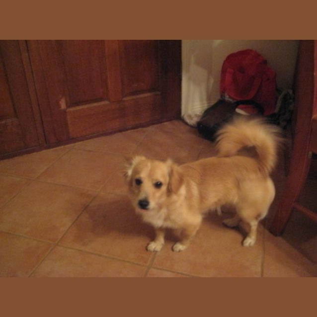 Photo of Milo