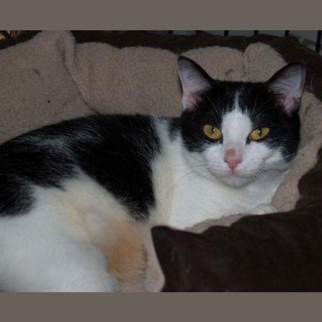 Photo of Jenny   Quiet Demure Loves To Be Stroked