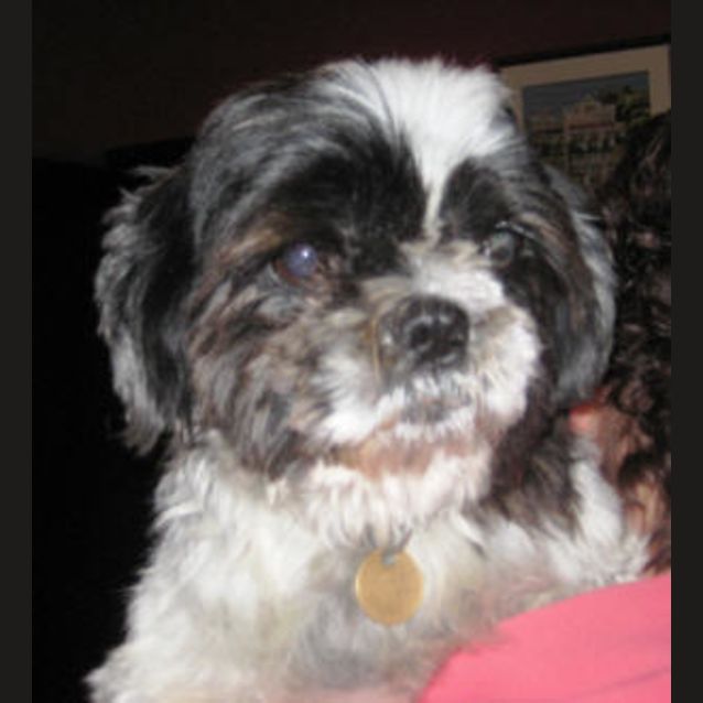 Photo of Lilly