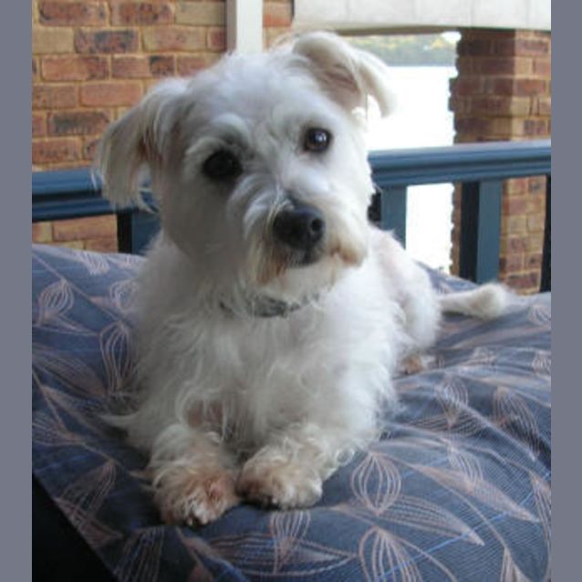 Photo of Pepsie