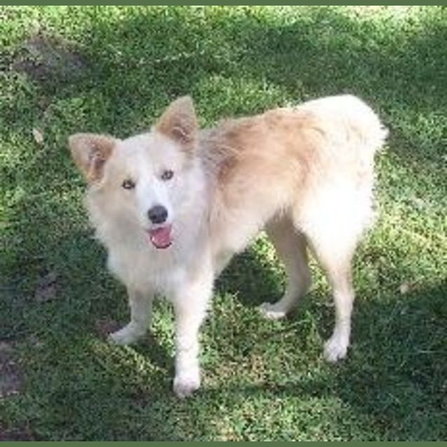 Photo of Charity