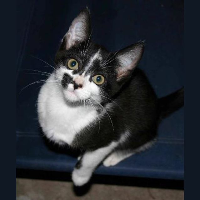Photo of Polly
