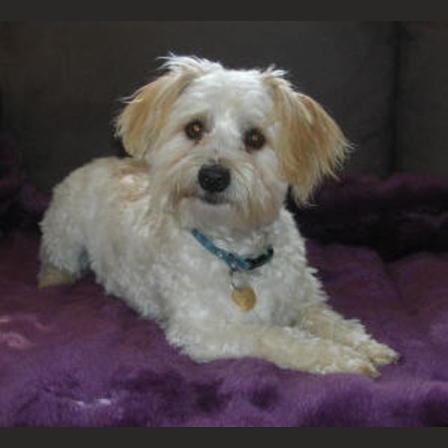 Photo of Paddy