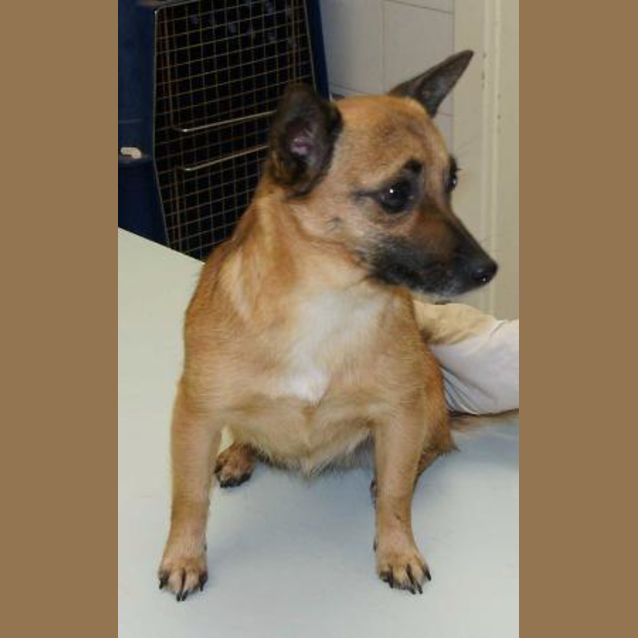Photo of Tinkerbell