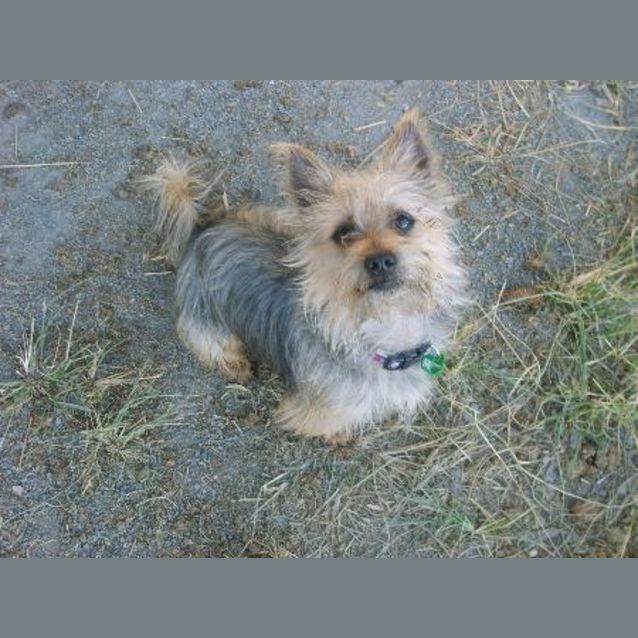 Photo of Smokey
