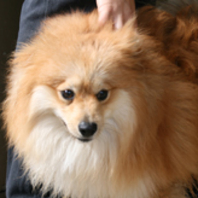 Photo of Tom