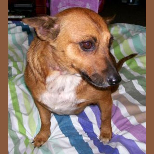 Photo of Daisy
