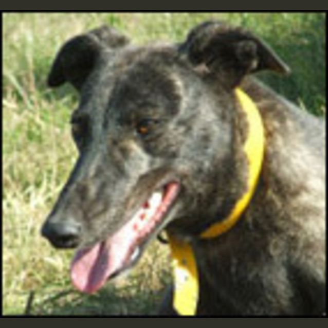 Photo of Keira