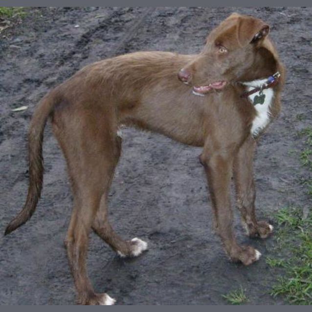 Photo of Fingal