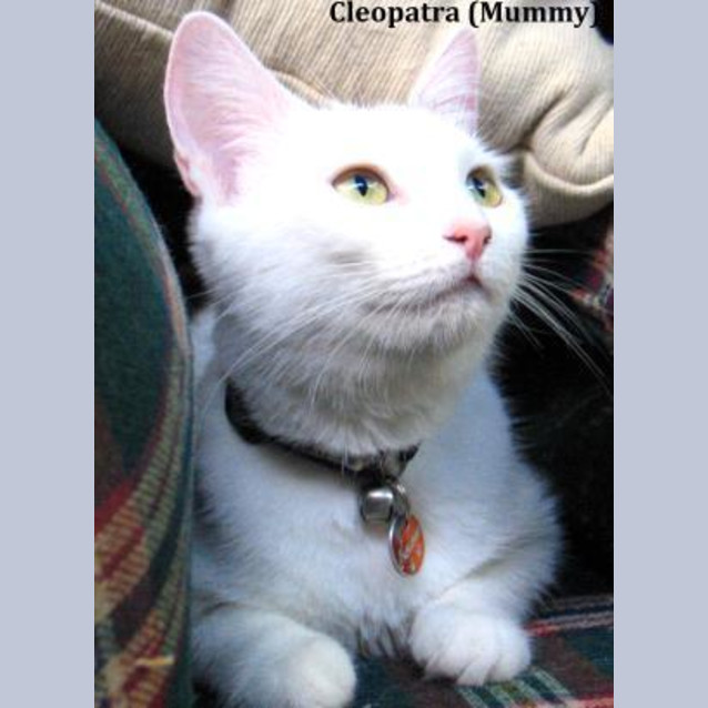 Photo of Cleopatra