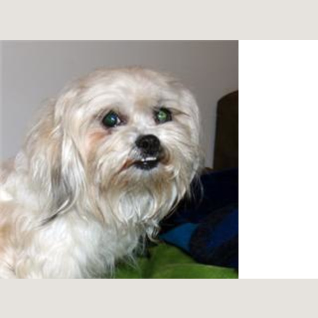 Photo of Zoe