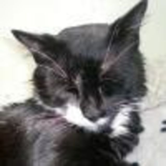 Photo of Jasper