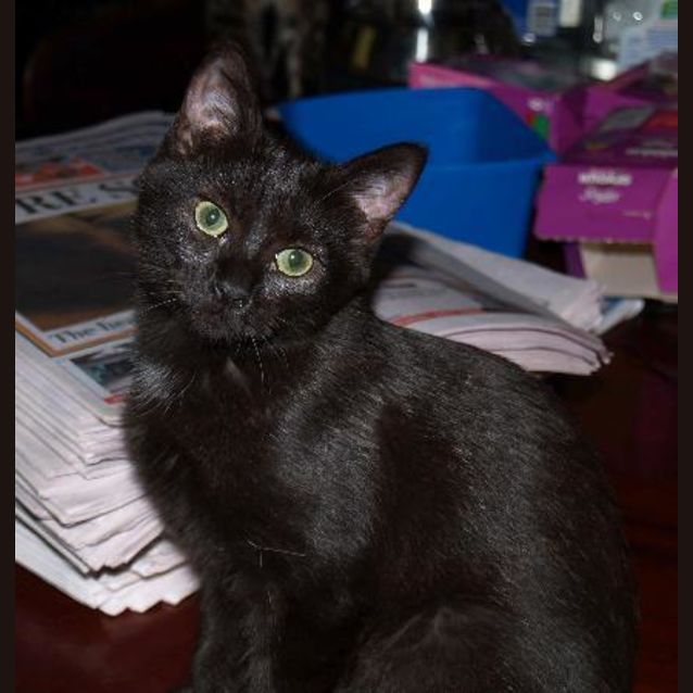 Photo of Gigi