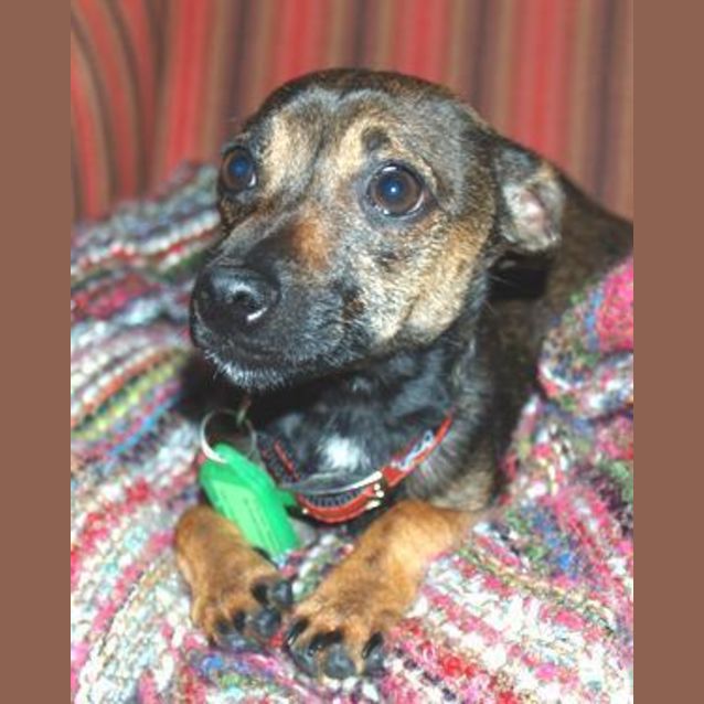Photo of Billy