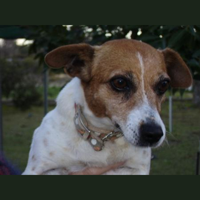 Photo of Penny