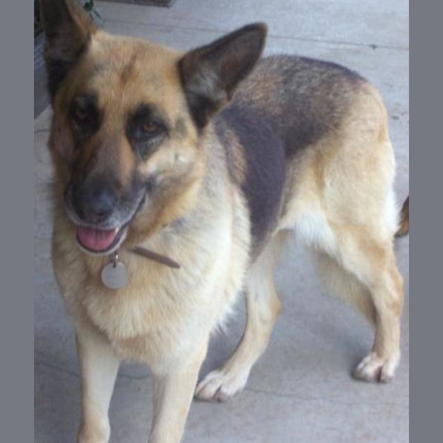 Photo of Suzie
