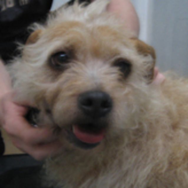 Photo of Mitzy