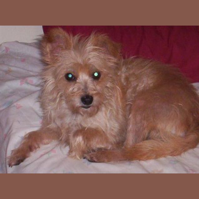 Photo of Maddie