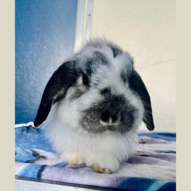 Photo of Snugz & Bugz