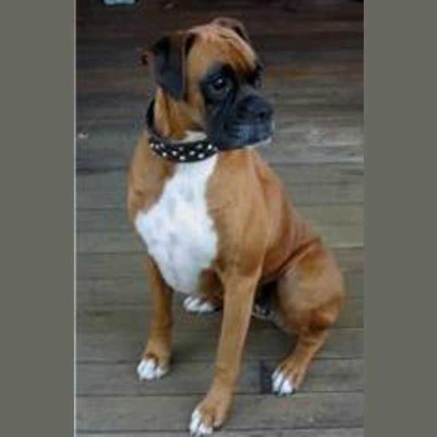 Photo of Xena