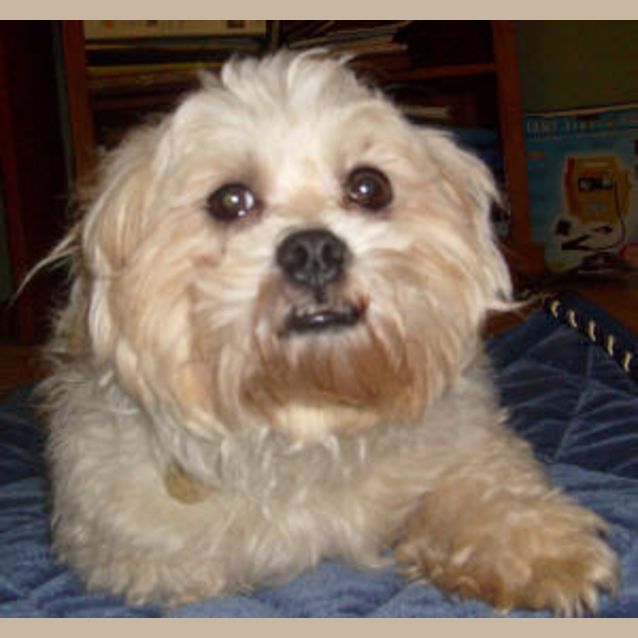 Photo of Tom Tom