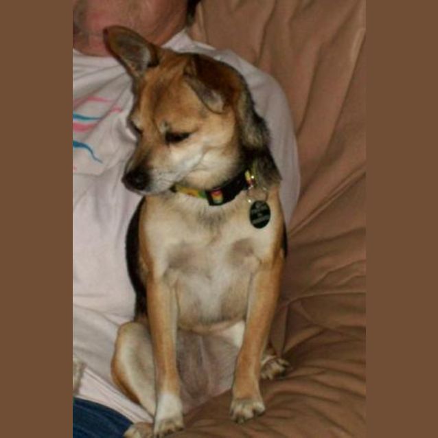 Photo of Bonnie