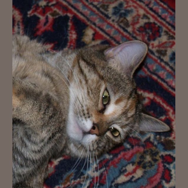Photo of Marsha