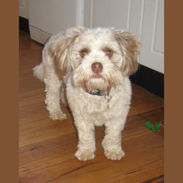 Photo of Creme