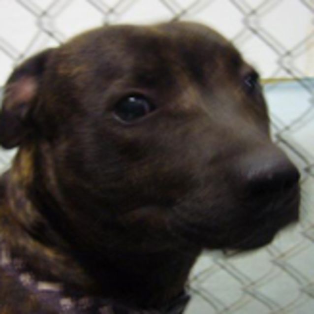 Photo of Coco