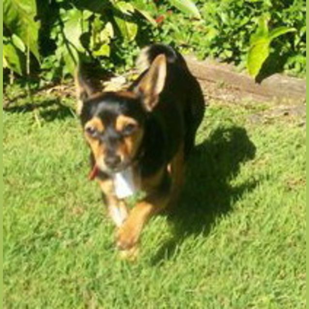 Photo of Tabatha
