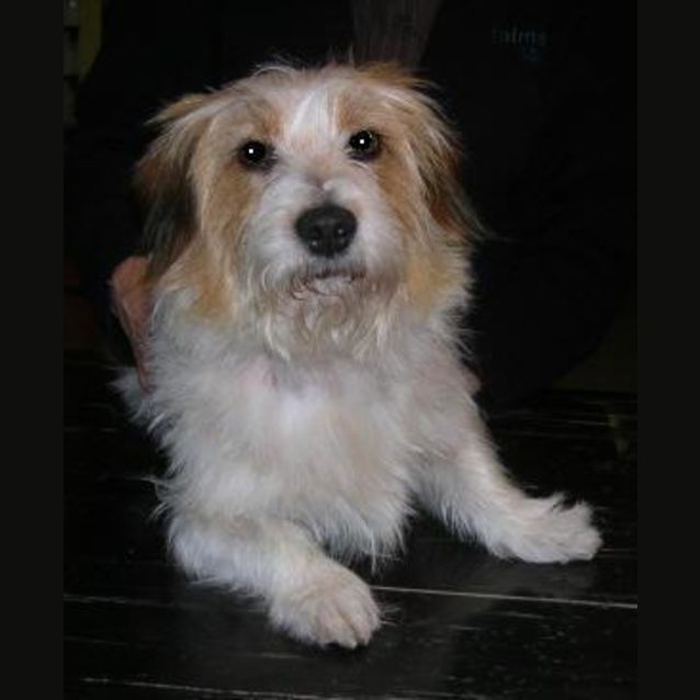 Photo of Rexie