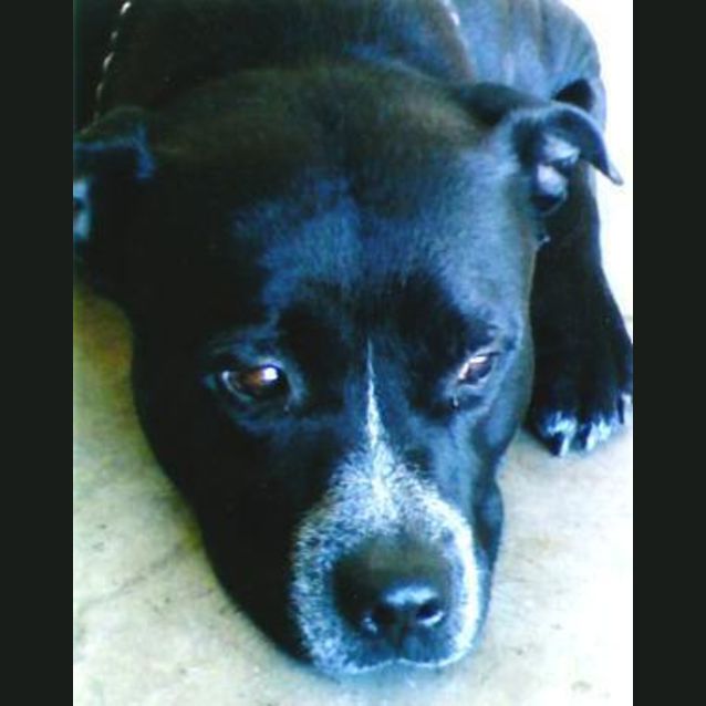 Photo of Astro