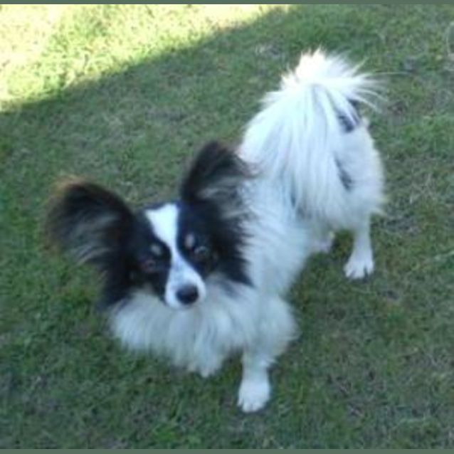 Photo of Mickey