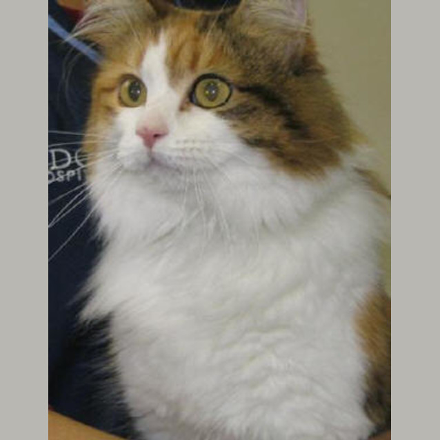 Photo of Silvie   Ftgh